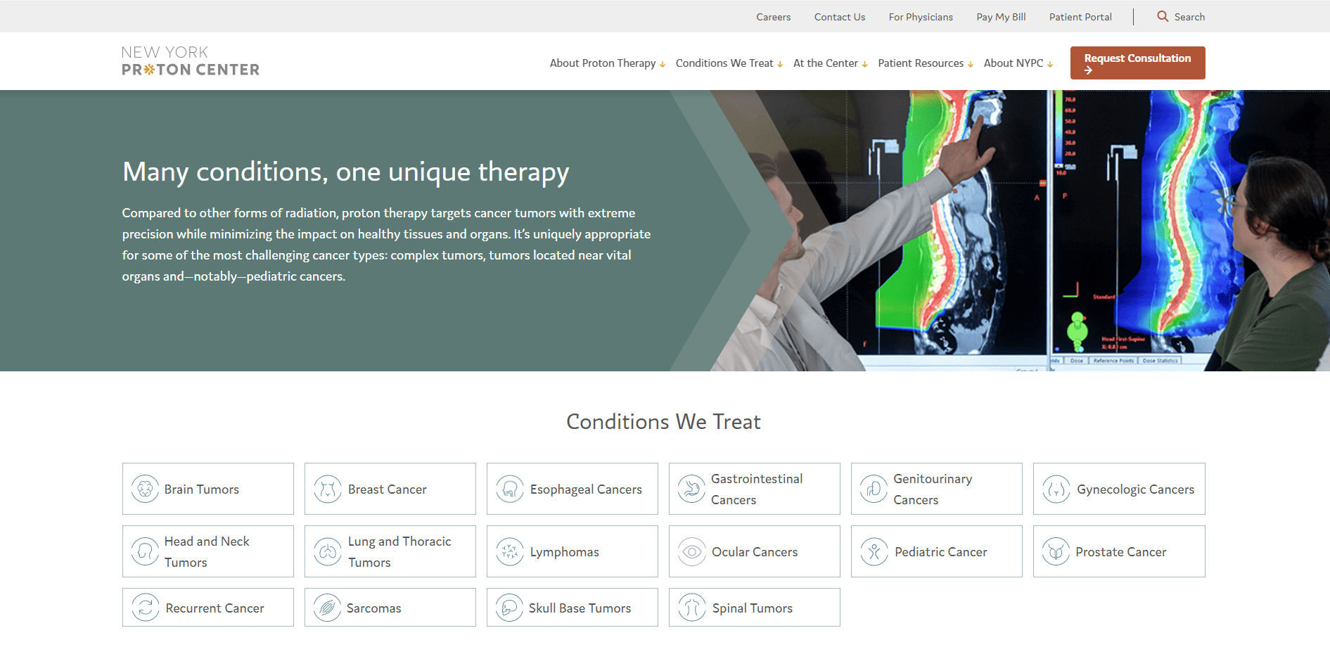 New York Proton screenshot of Conditions page on their website